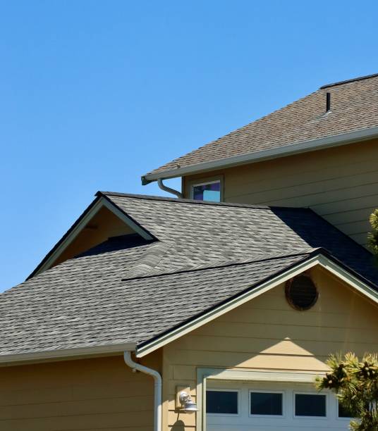 Best Solar Panel Roofing Installation  in Point, TX